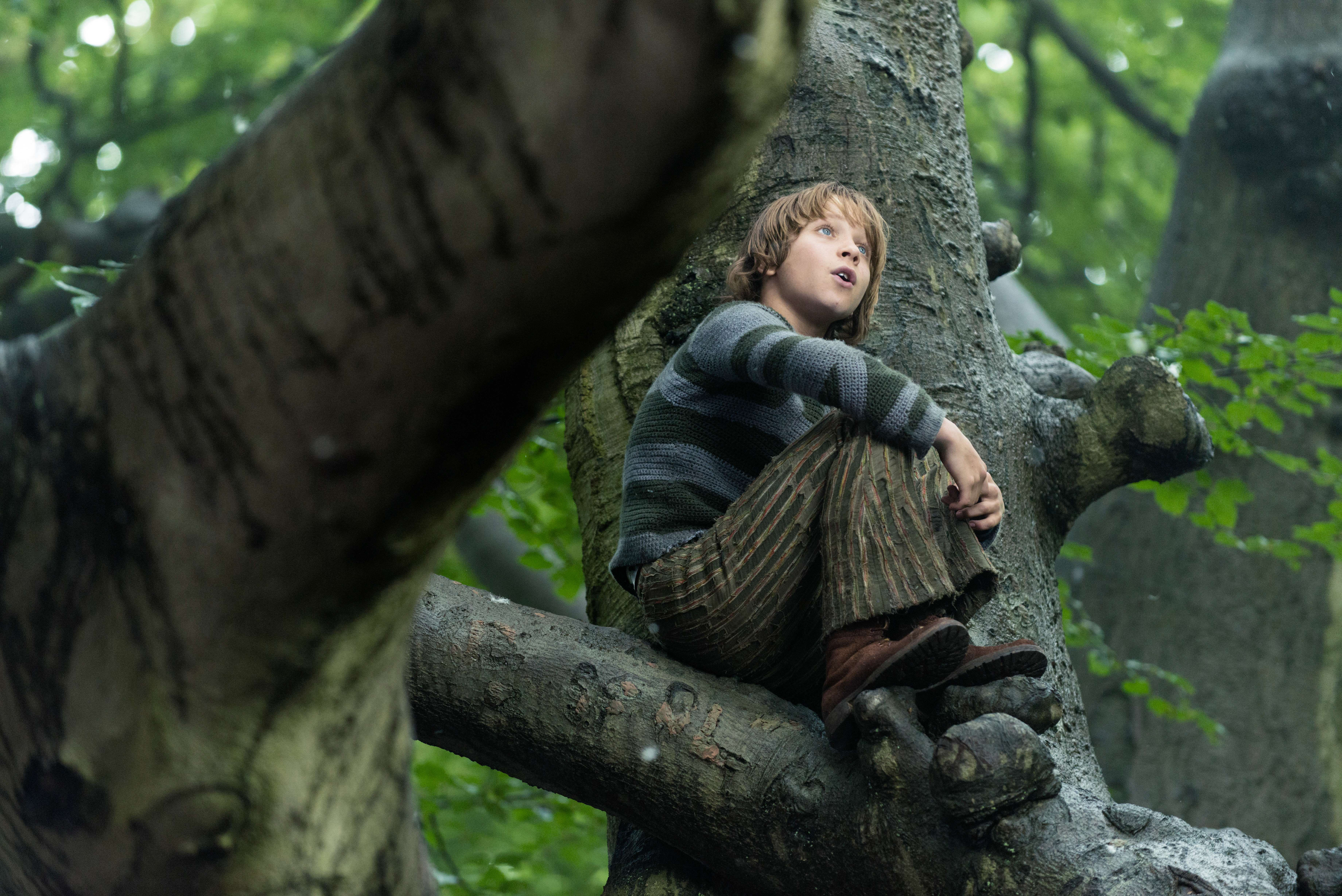 Приключение в лесу. Into the Woods фильм красная шапочка. Фильмы про лес фэнтези. Приключения в лесу.