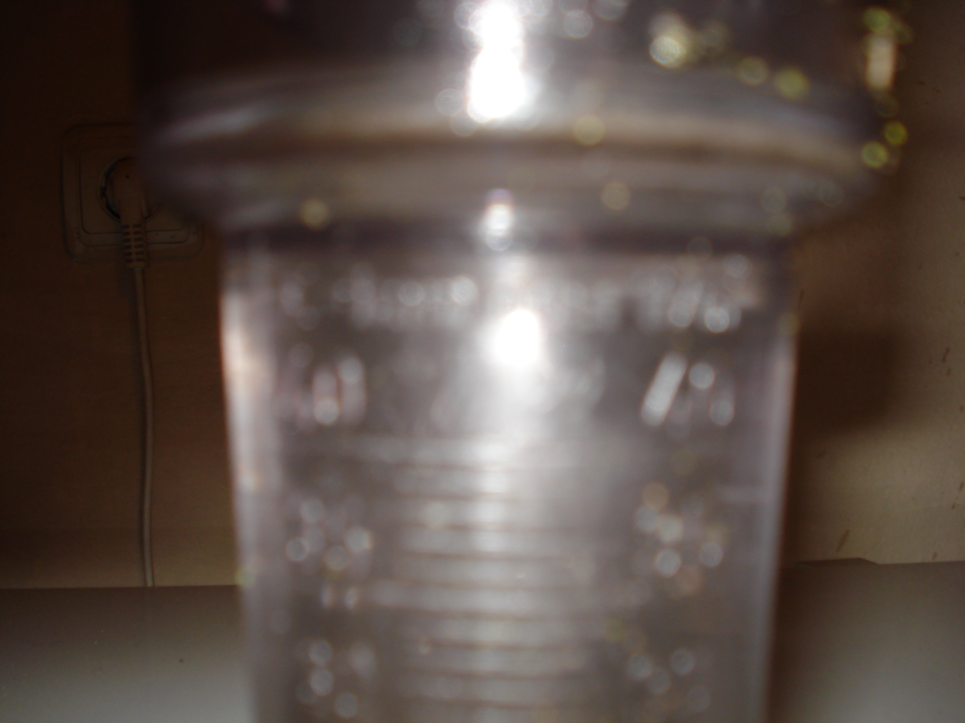 DSC05262.JPG