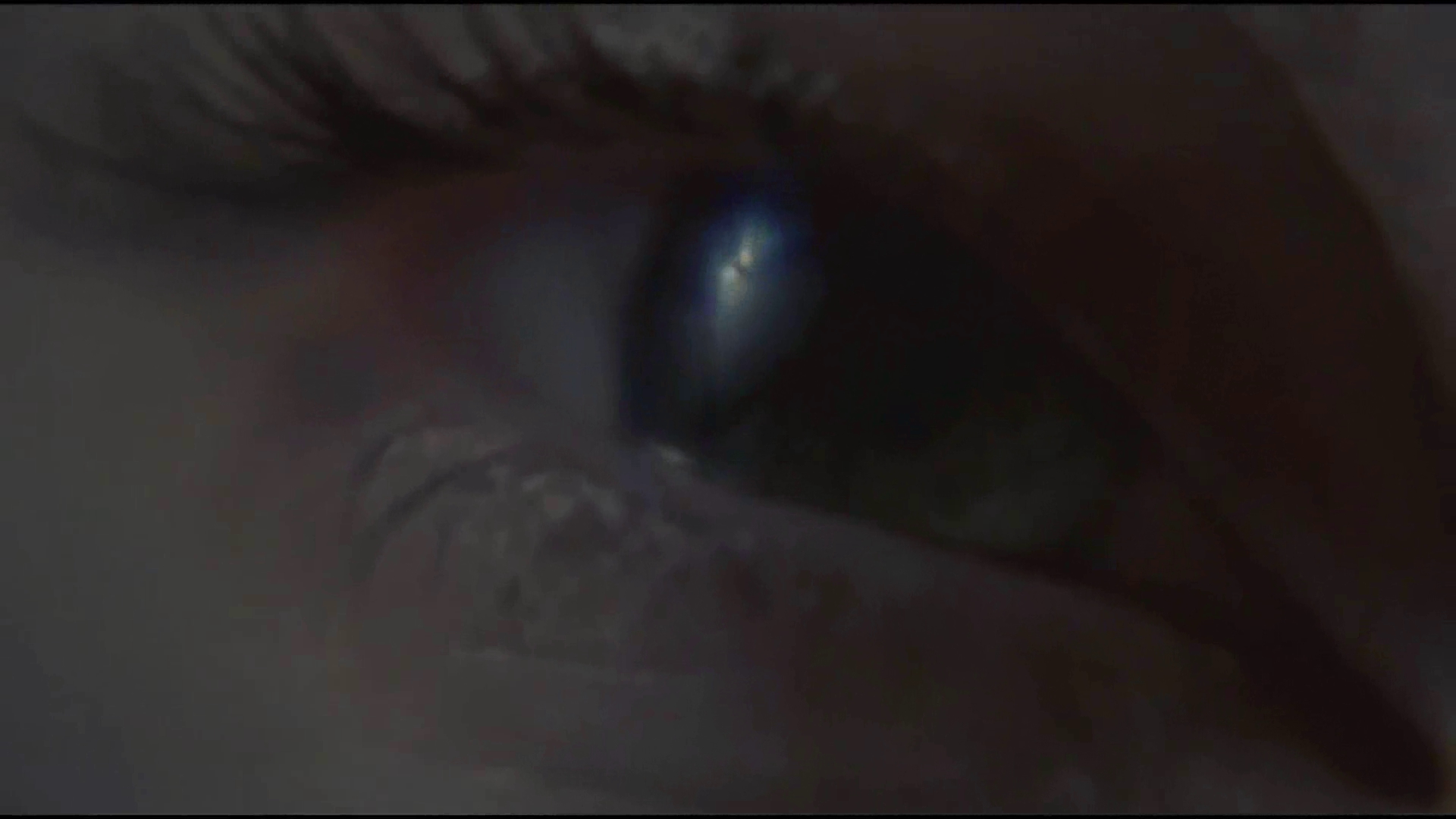 SVU Season 15 Premiere Surrender Benson Promo [Fanmade] - YouTub.wmv.0044.jpg