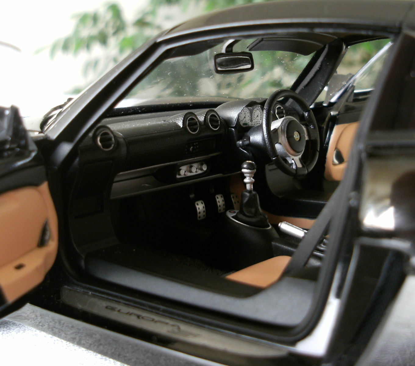 DSCF5445.JPG