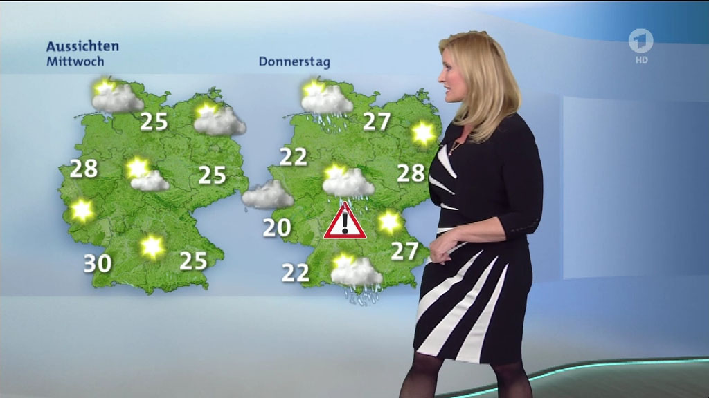 fencekingHD-ClaudiaKleinert-WetterVorAcht-15-05-2017 (09).jpg