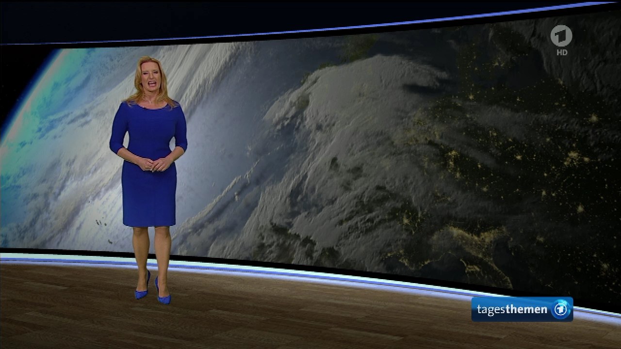 fencekingHD-ClaudiaKleinert-TTWetter-17-12-2015 (02).jpg