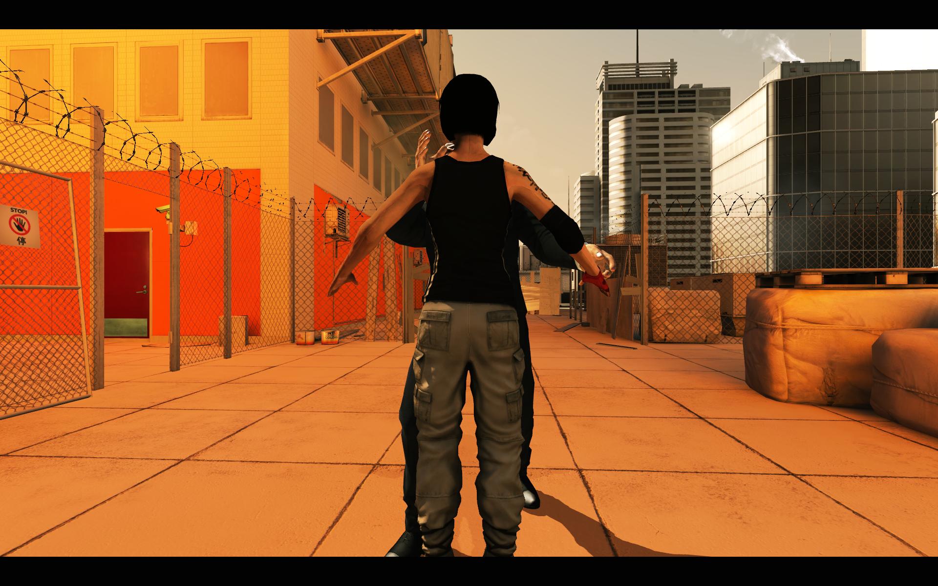 MirrorsEdge2009-01-2903-04-43-59.jpg