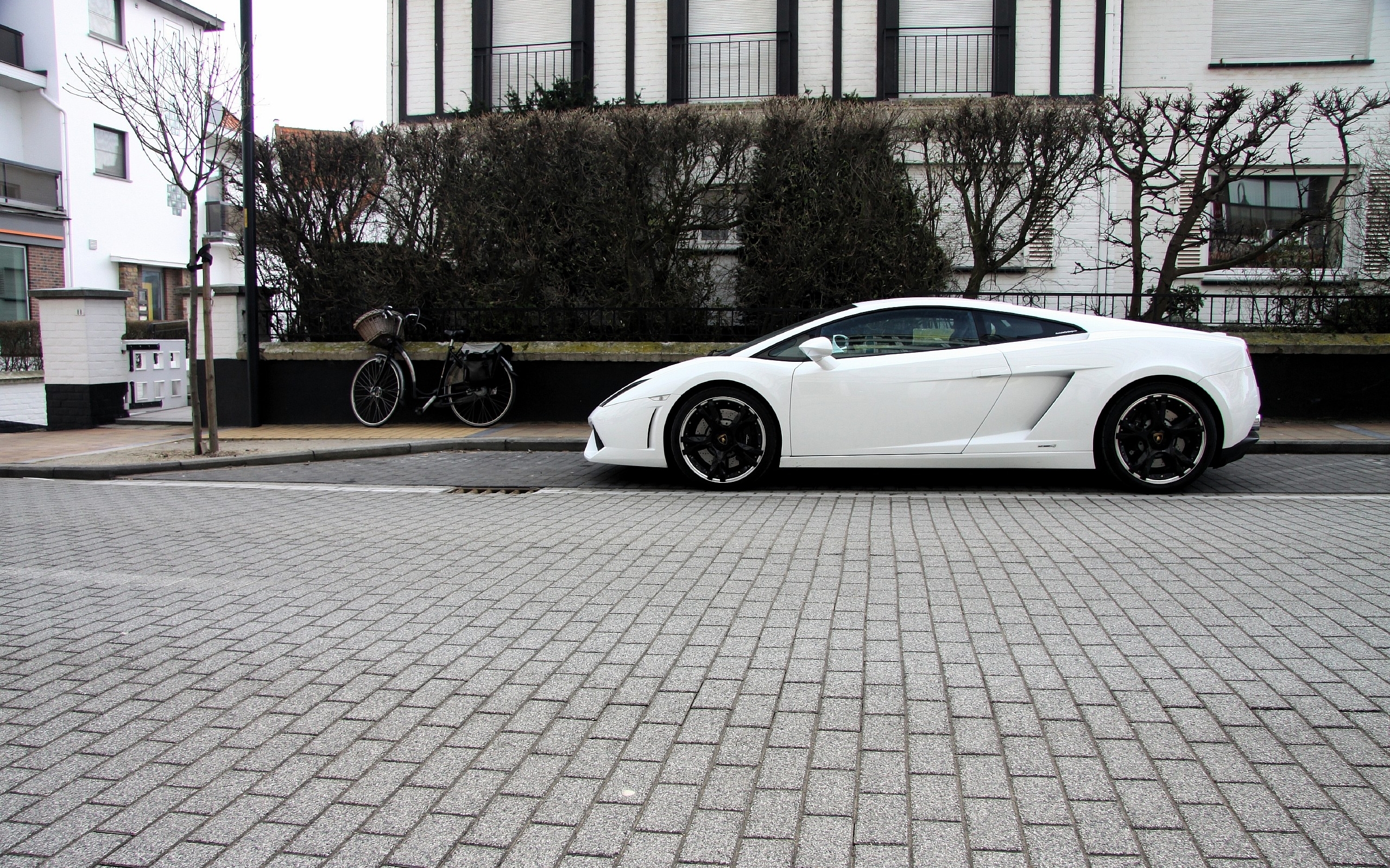 100950_lamborghini_2560x1600_(www.GdeFon.ru).jpg