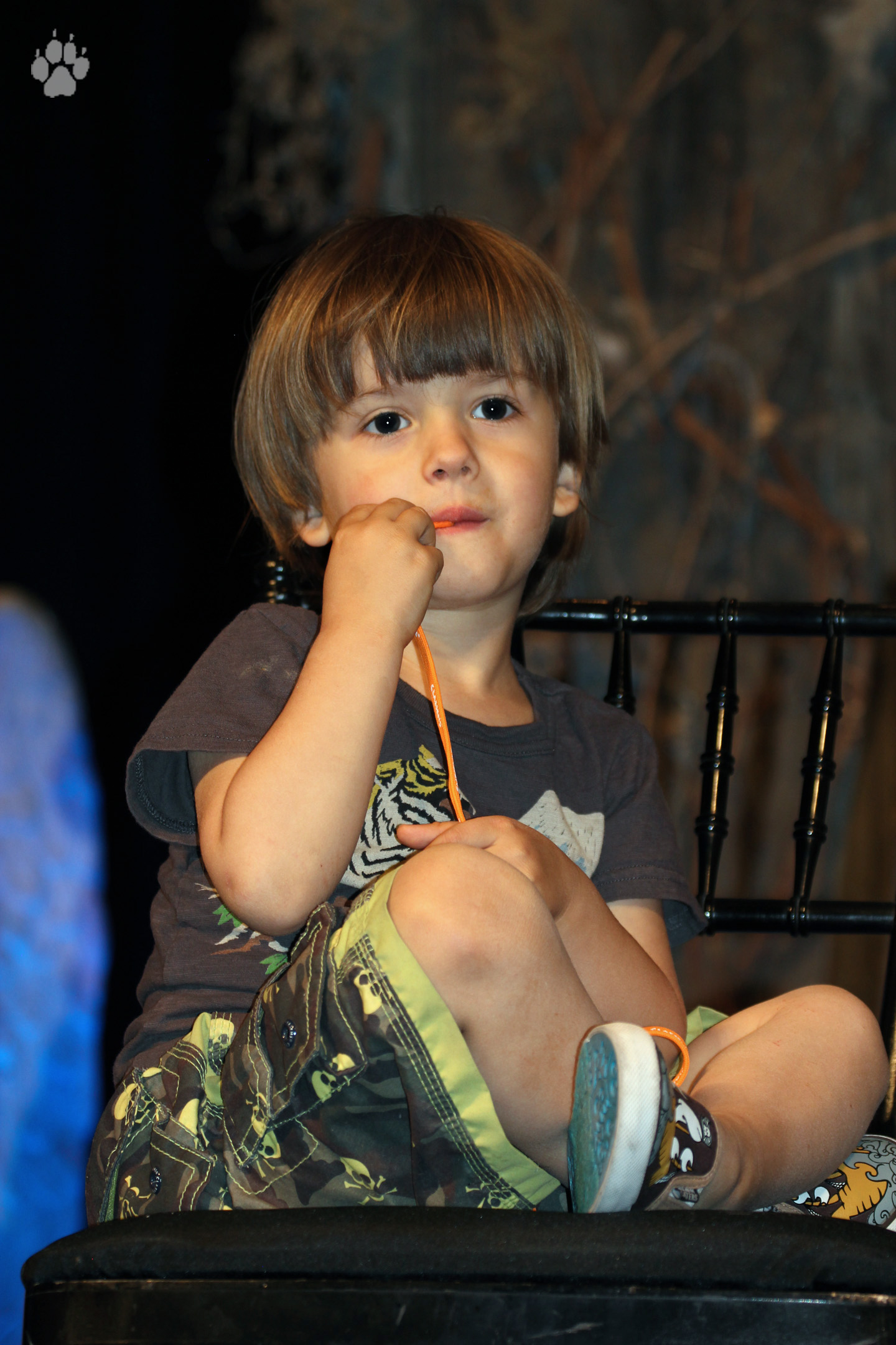 misha27hq.jpg
