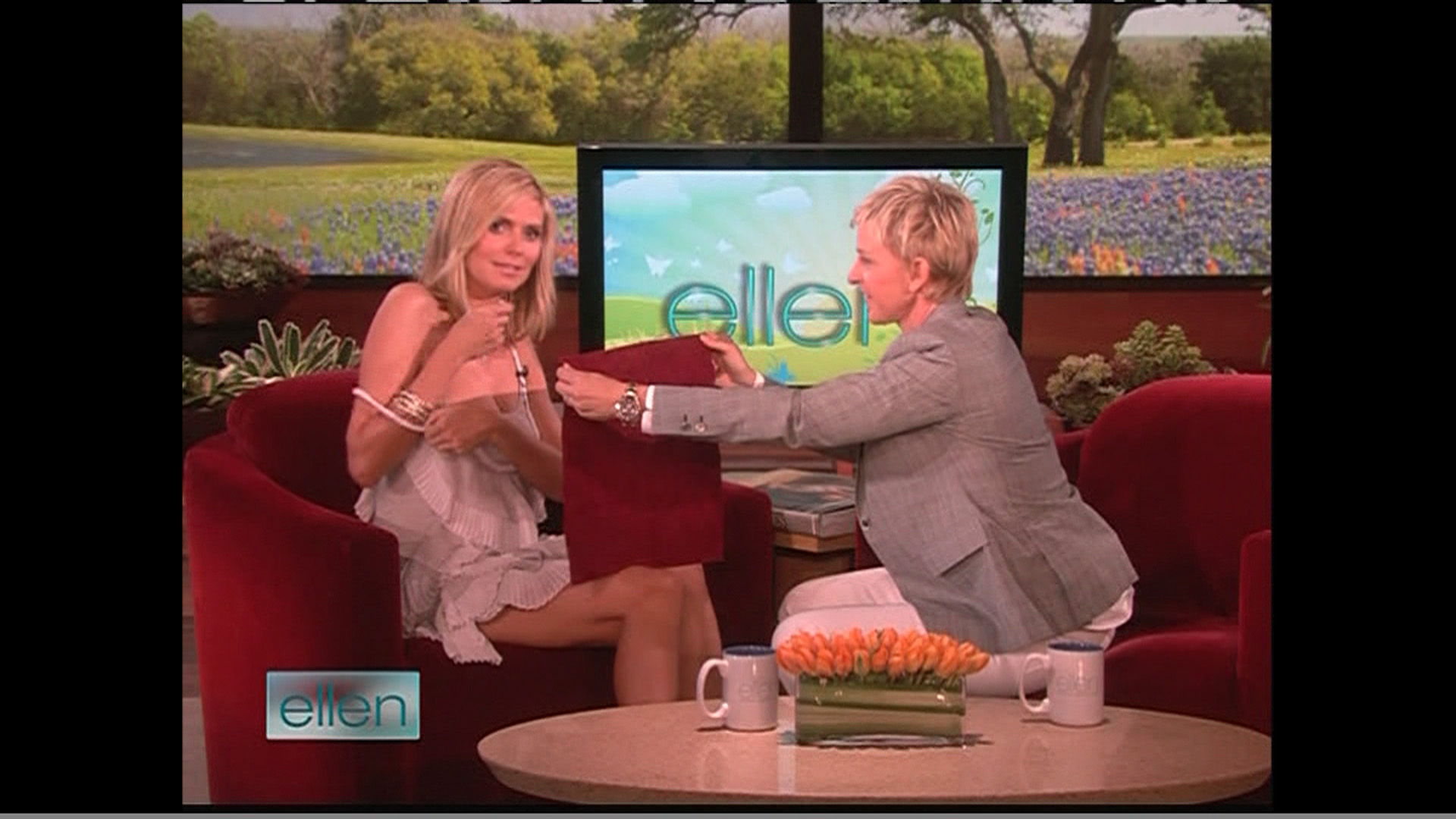 75881_Ellen_-_Heidi_Klum_-_5-4-09_8022_122_51lo.jpg