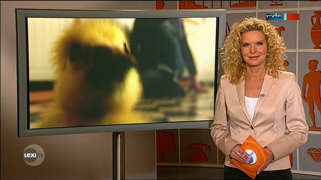  Victoria_Herrmann_LexiTV_10112011_009.jpeg