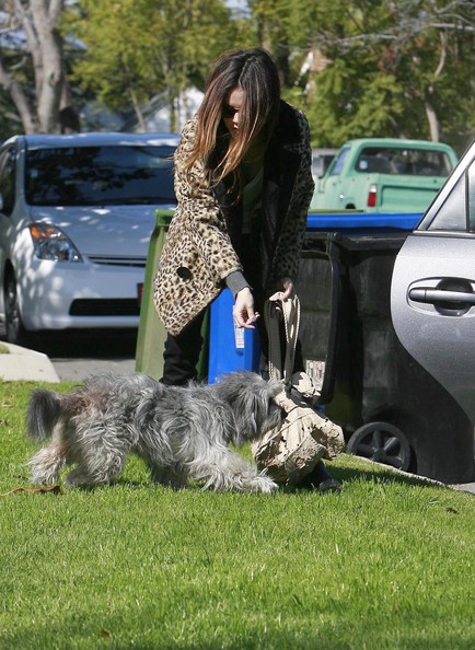 RachelBilsonDog20.jpg