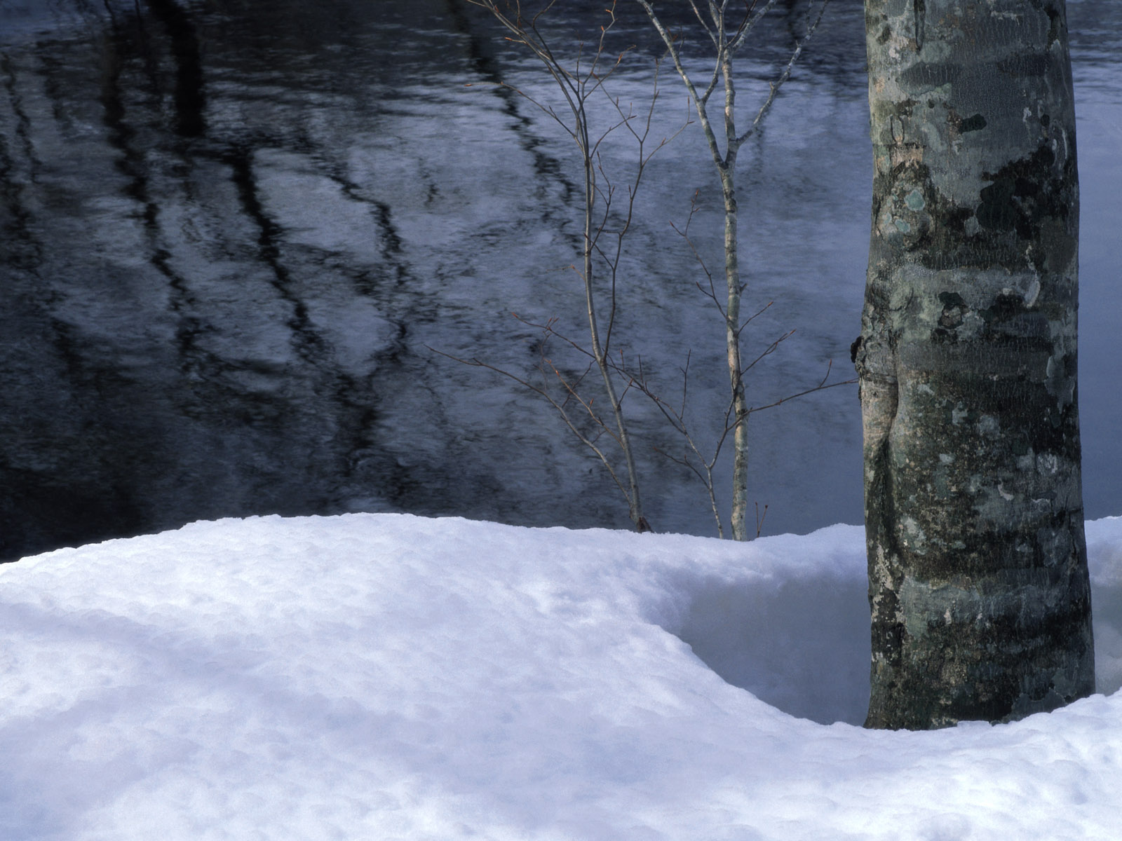 Snow_Winter_Scene_winter_snow_wallpapers_MIL50056_wallcoo.com.jpg
