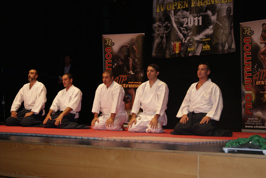 aikido 120.jpg
