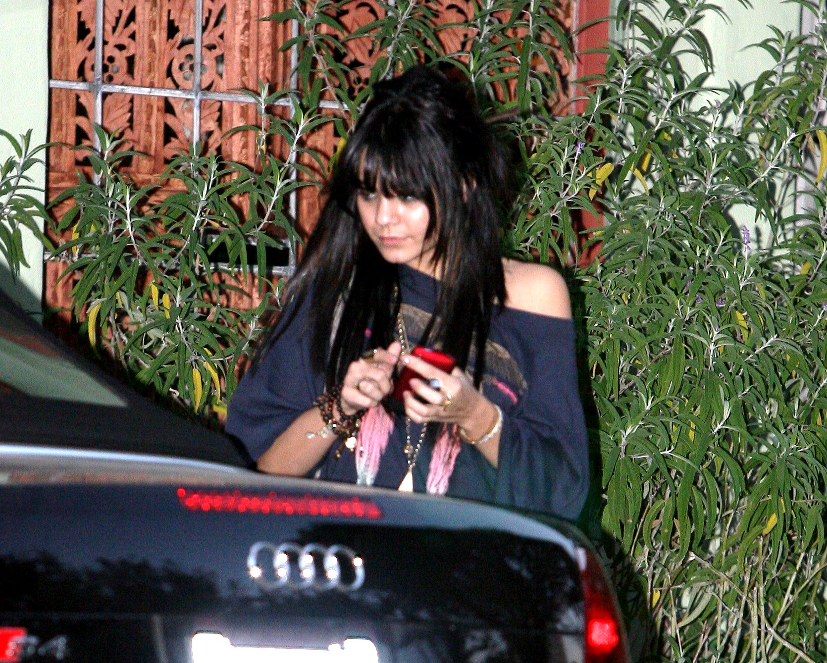 VHudgens012109_01_122_748lo7.jpg