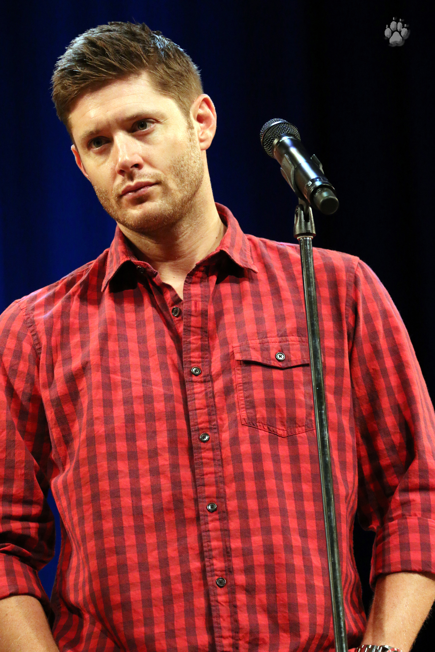 1jagold6hq.jpg