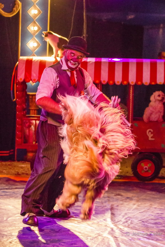 circus sijm 2014- joshuakeller-0102_filtered.jpg