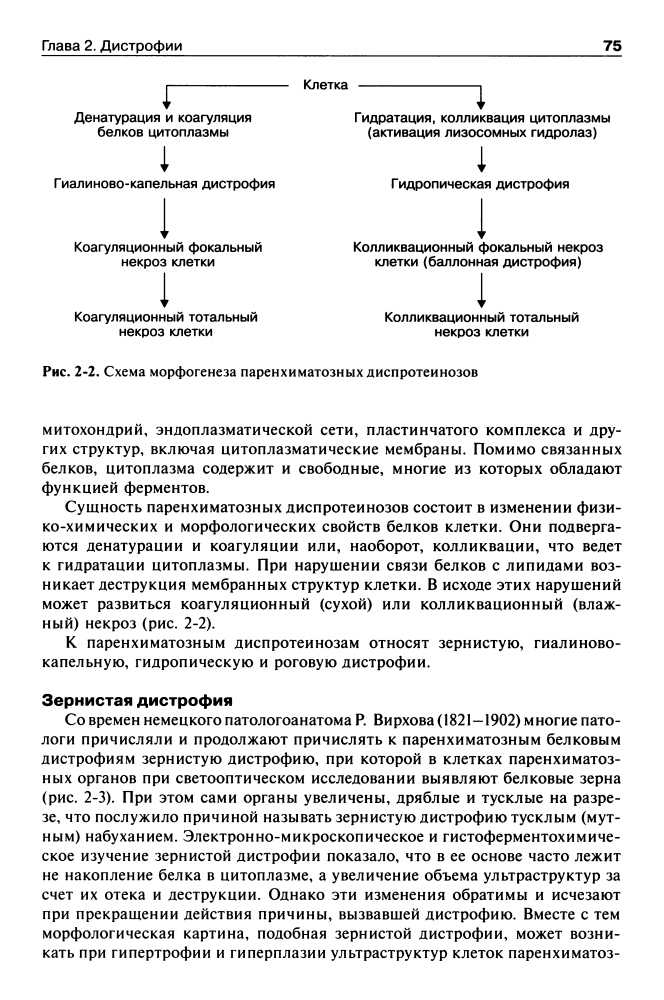 a0016.jpg
