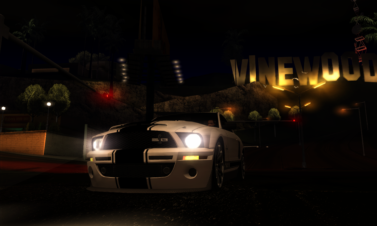 gta_sa2010-03-2419-17-21-11.png