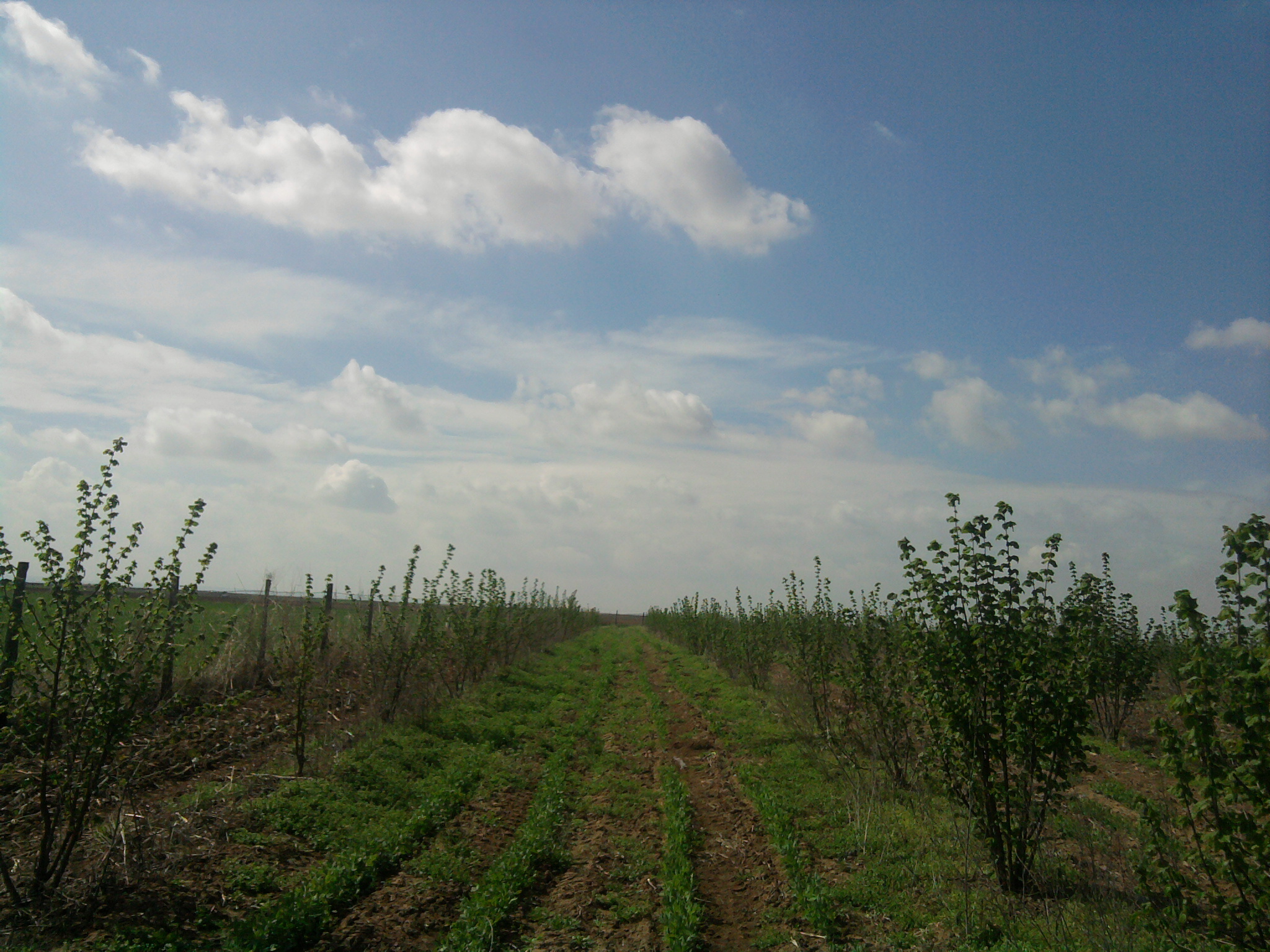 Fotografija0992.jpg