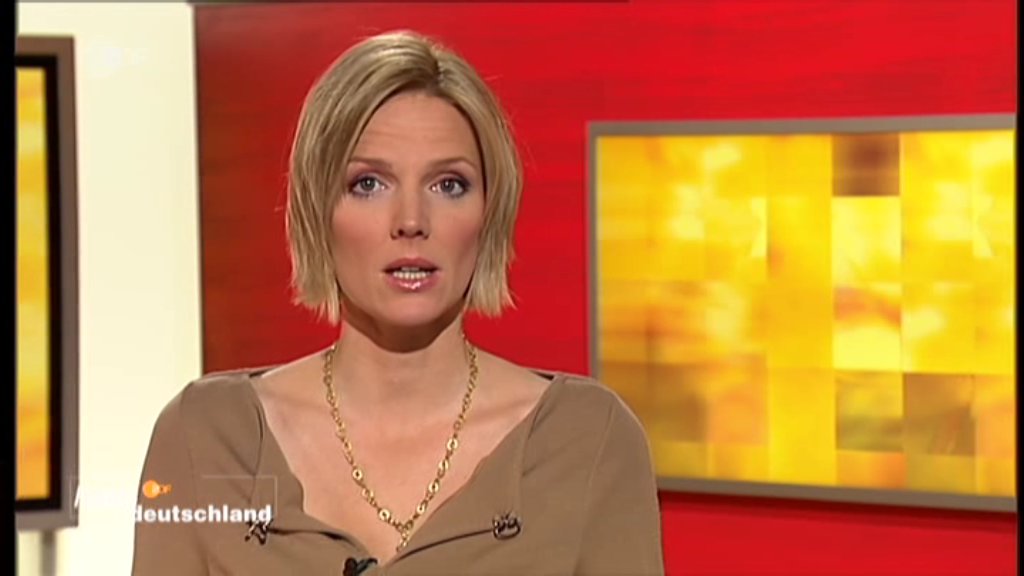 ZDF 2012-12-05 17-16-28.jpg