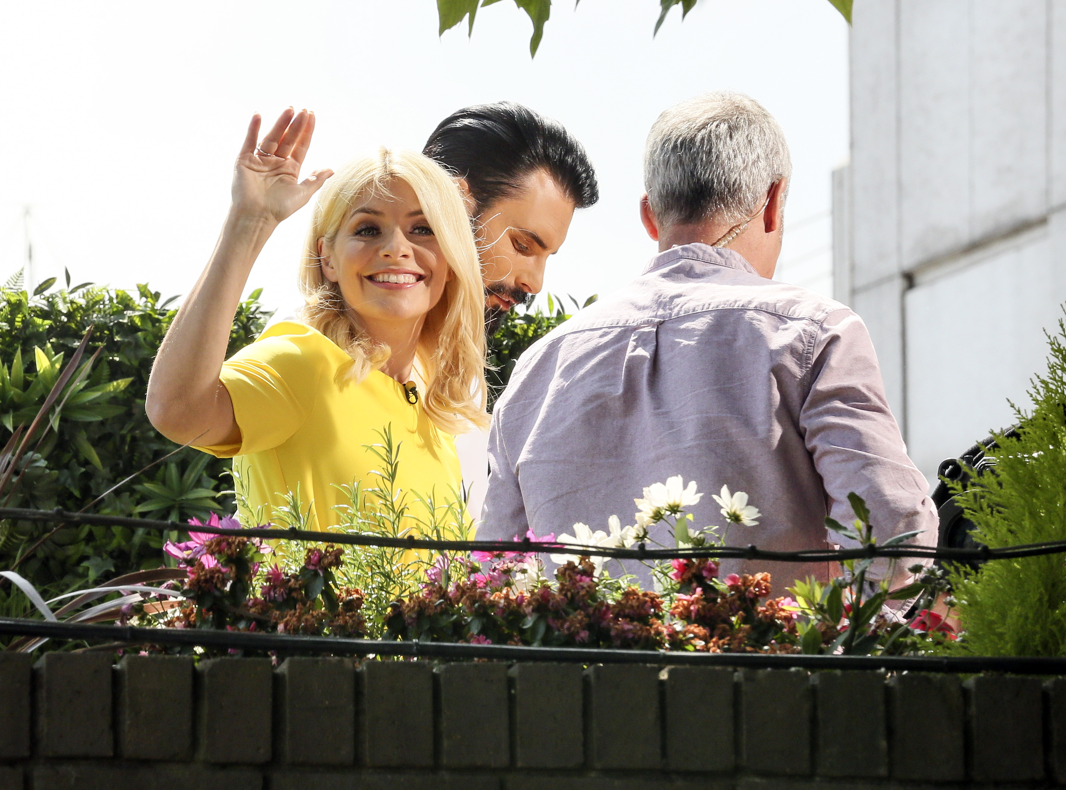       hollyw250517BZNimage4.jpg