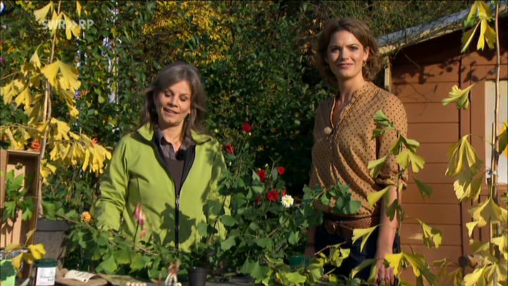 SWR Fernsehen RP 2012-10-23 16-12-09.jpg