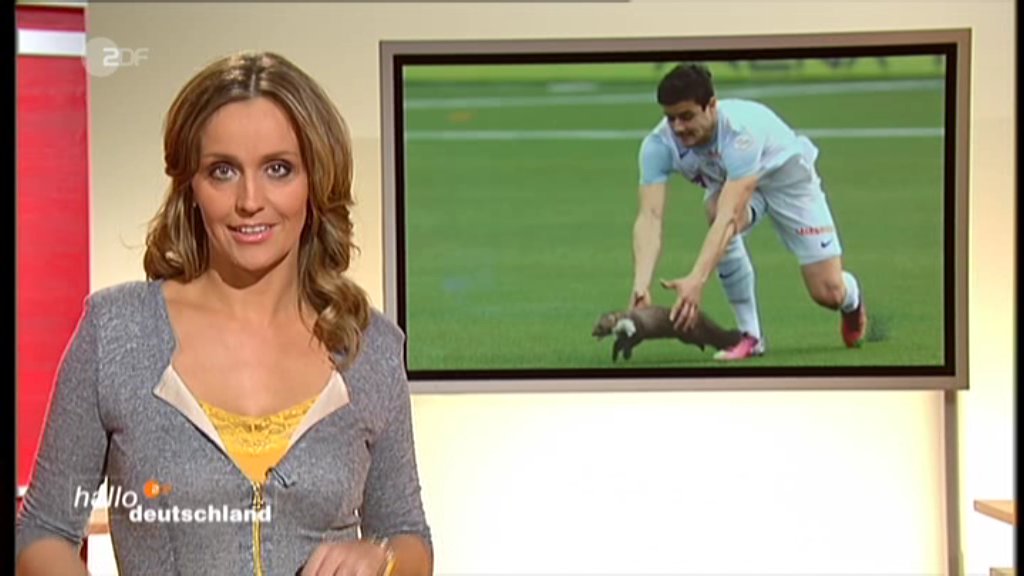 ZDF 2013-03-11 17-26-07.jpg