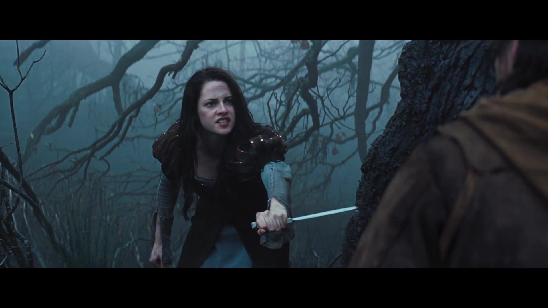 TodoTwilightSaga - SwathTrailer - HD 1080p_Screencaps (213).jpg