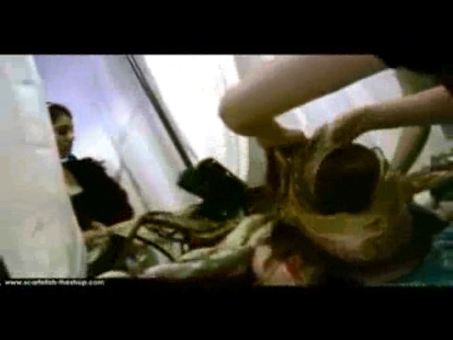 Bed of Silk.WMV.018.jpg