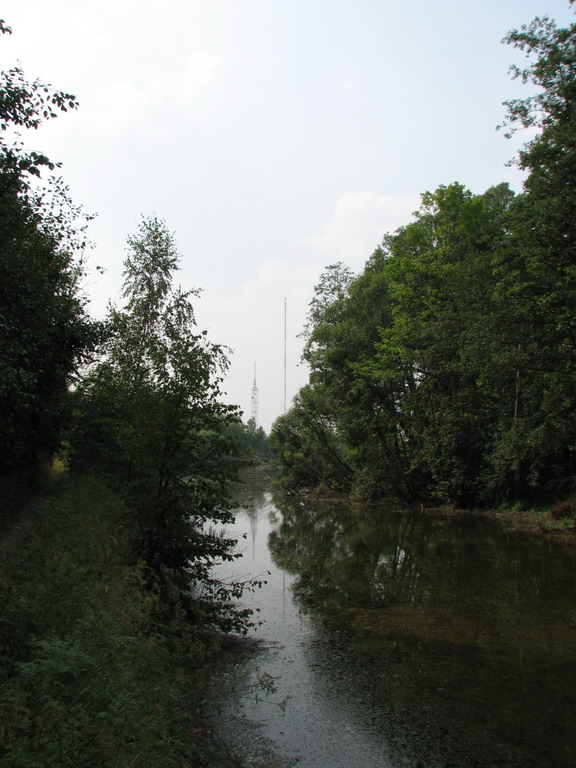IMG_9626.JPG