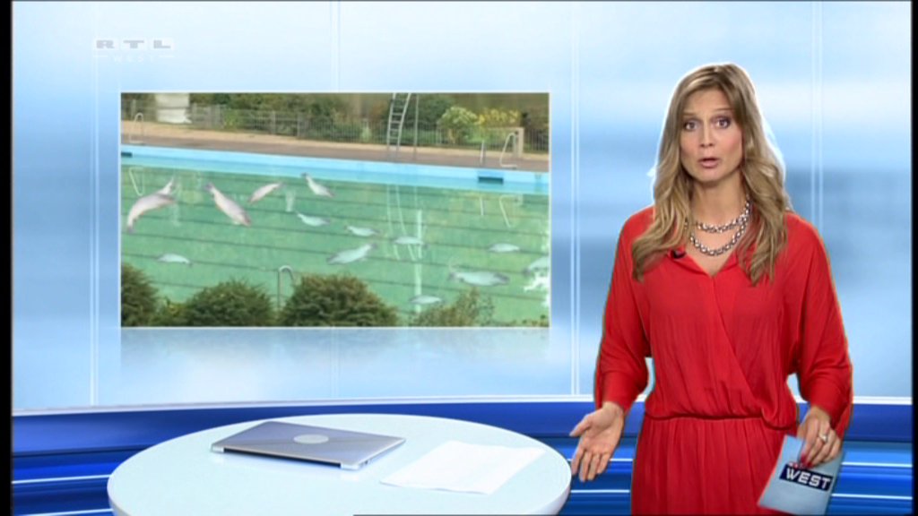 RTL NRW 2013-10-21 18-03-36.jpg