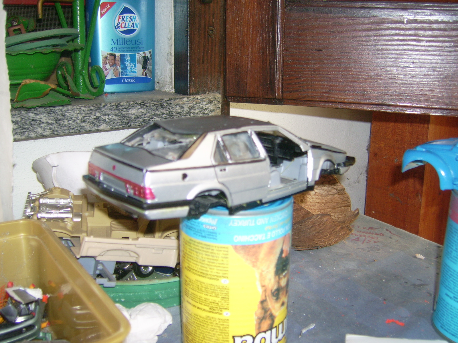 DSCI5810.JPG