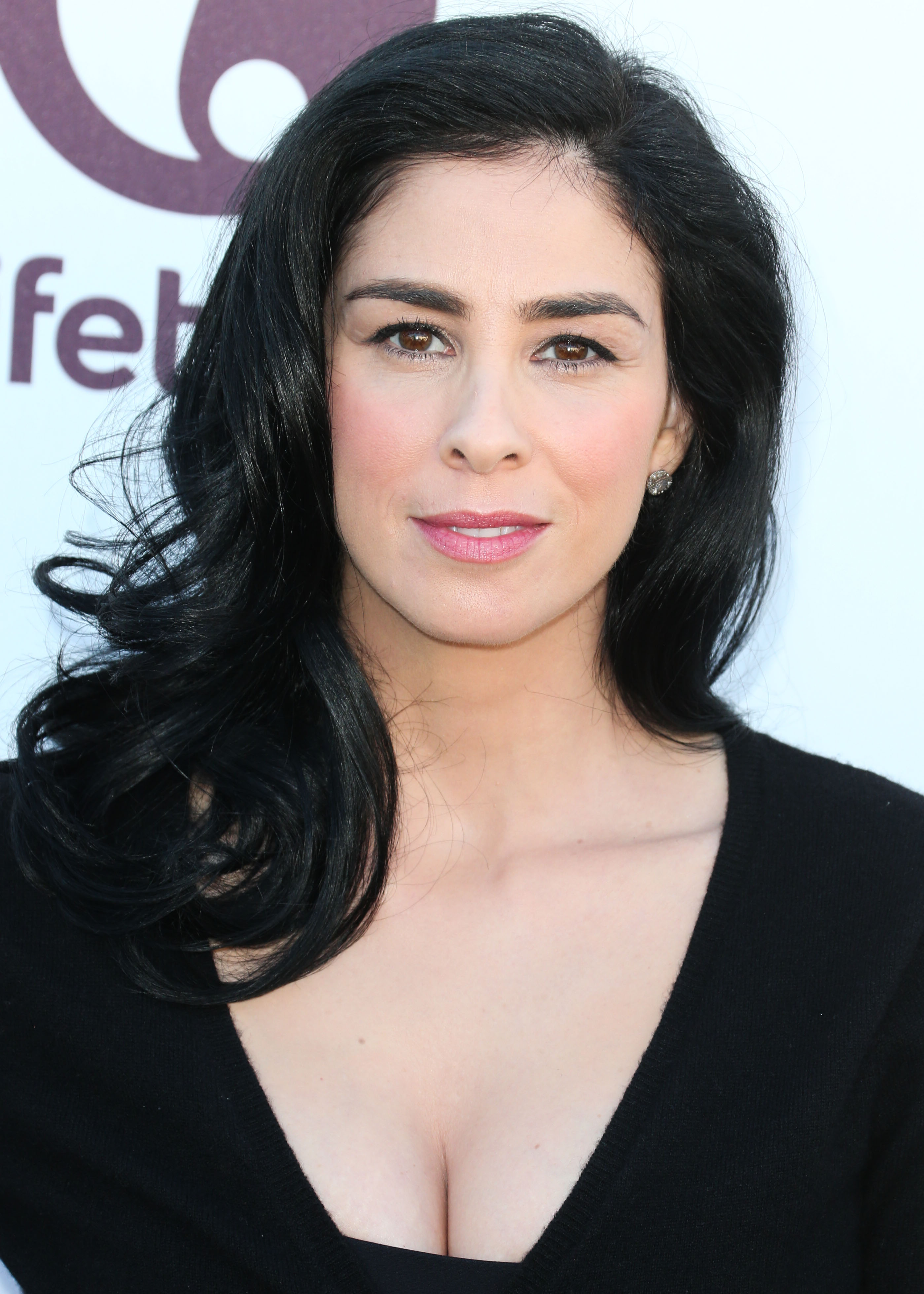 Sarah Silverman Cameltoe