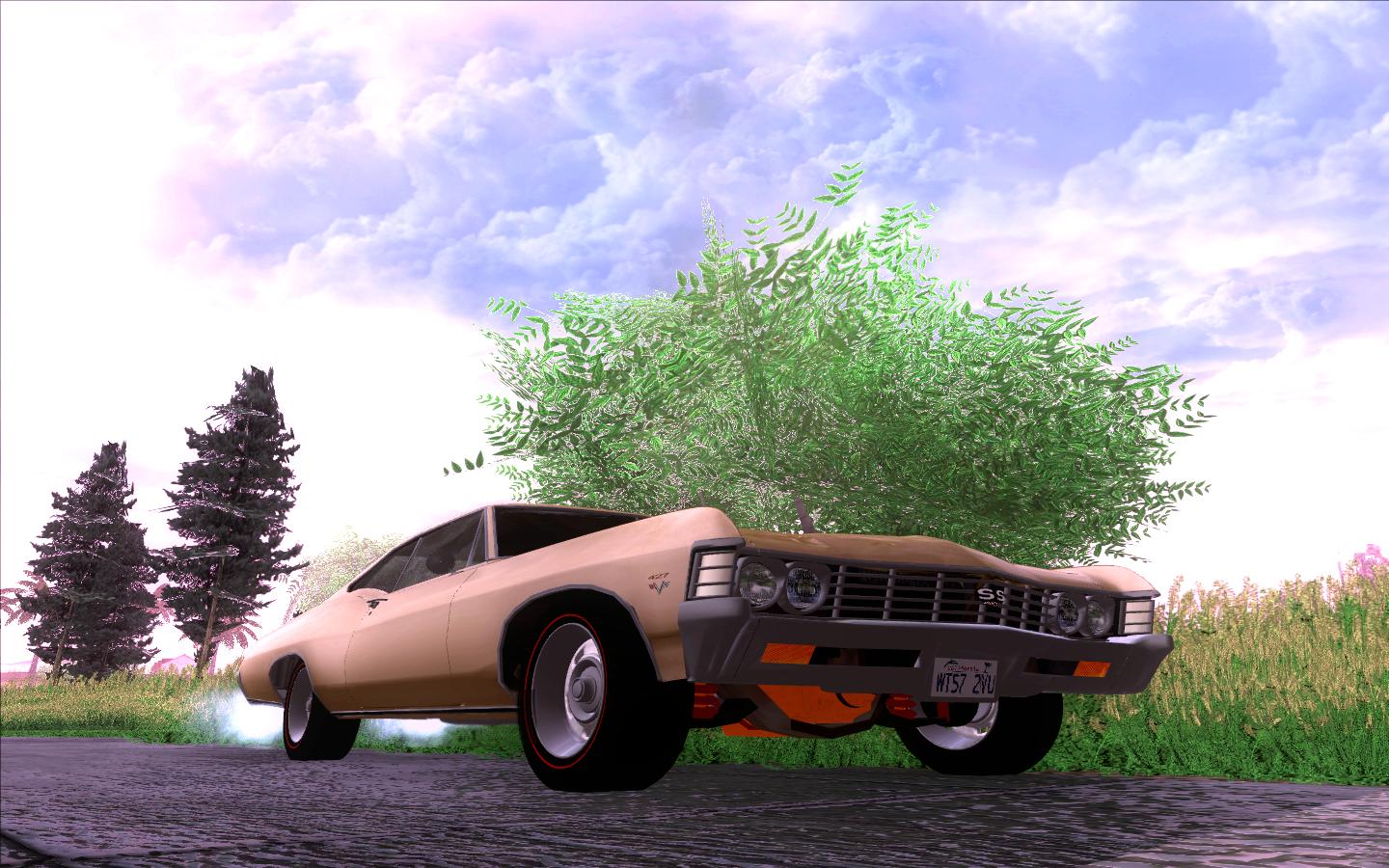 Nowy folderenb2009_10_1_19_4_31.JPG