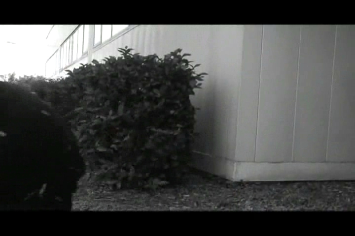 Trouble at the Tracks.wmv.028.jpg