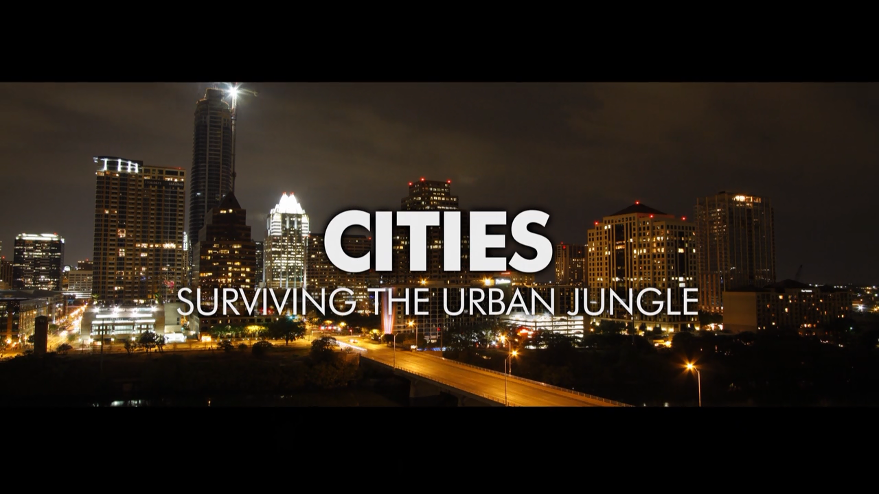 Абандоннд сити сурвайвл новый город. Survival city builder. Генератор фрост панк. Survival city базы. The city survived.