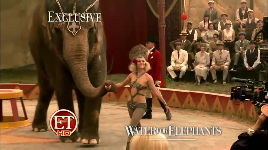 WFE 0918.png