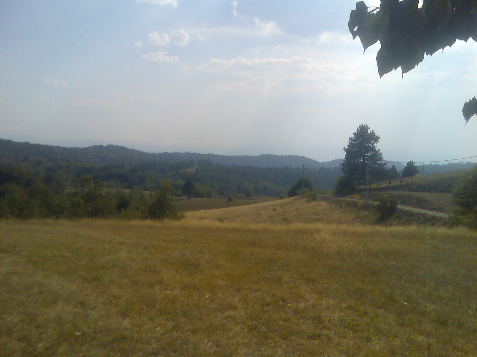 Slika017.jpg