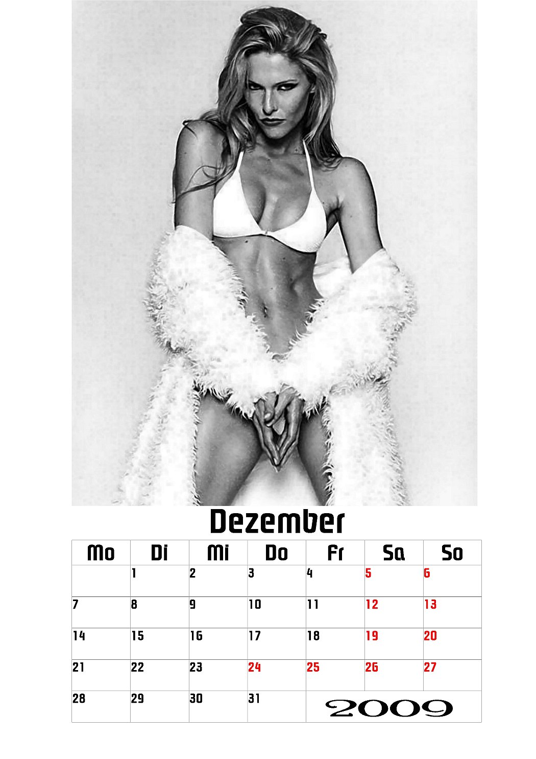 SonyasSWKalender2009Seite12.JPG