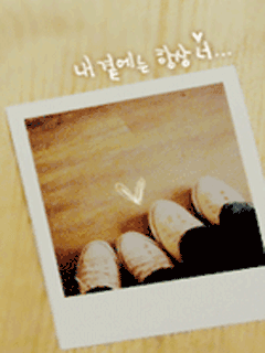 19.gif