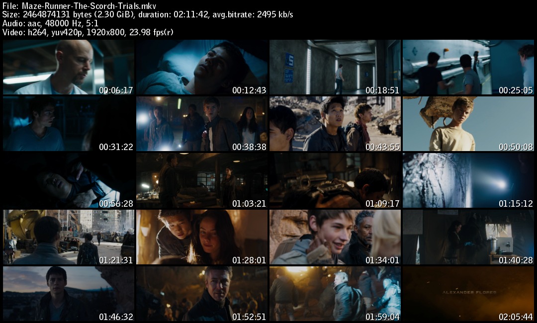 Maze-Runner-The-Scorch-Trials_s.jpg