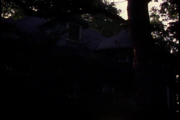VIDEO_TStitle8ch2frame16905.jpg