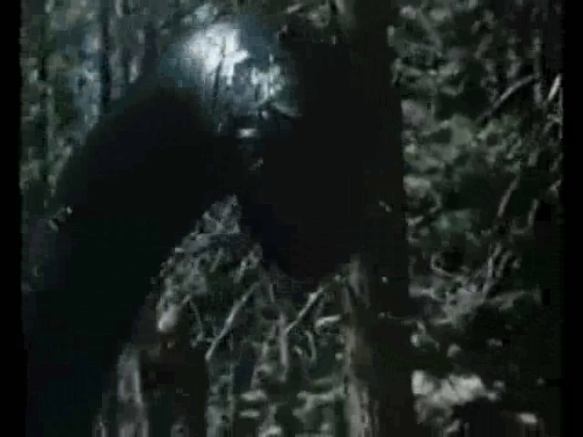 the_loch_ness_horror.wmv.0052.jpg