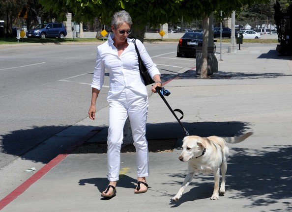 Jamie+Lee+Curtis+Gets+Walked+Dog+wETkqGN01V4l.jpg
