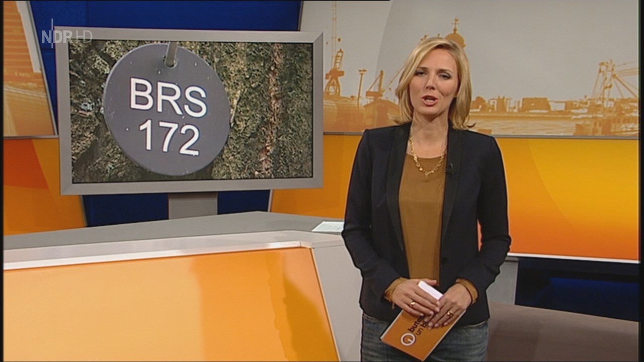 150.000.buten un binnen _ regionalmagazin.ts_snapshot_09.29_[2014.12.06_07.20.05].jpg