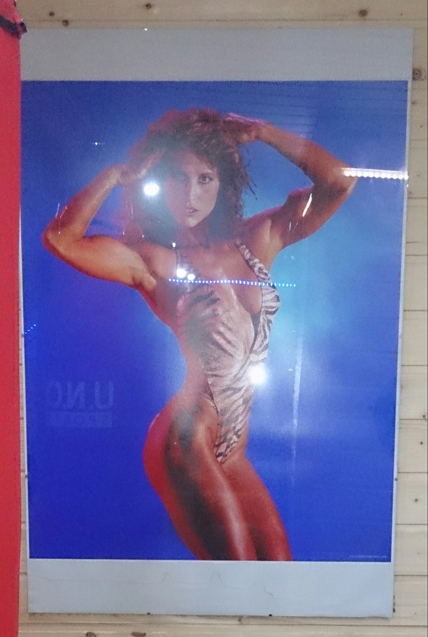 DSC_0102-1.jpg