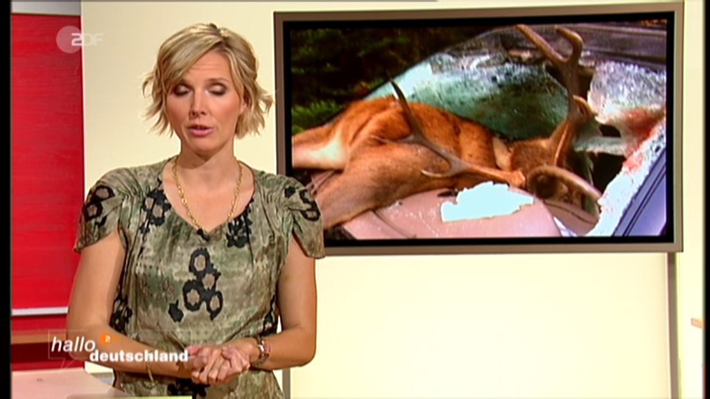 ZDF 2012-11-06 17-17-02.jpg
