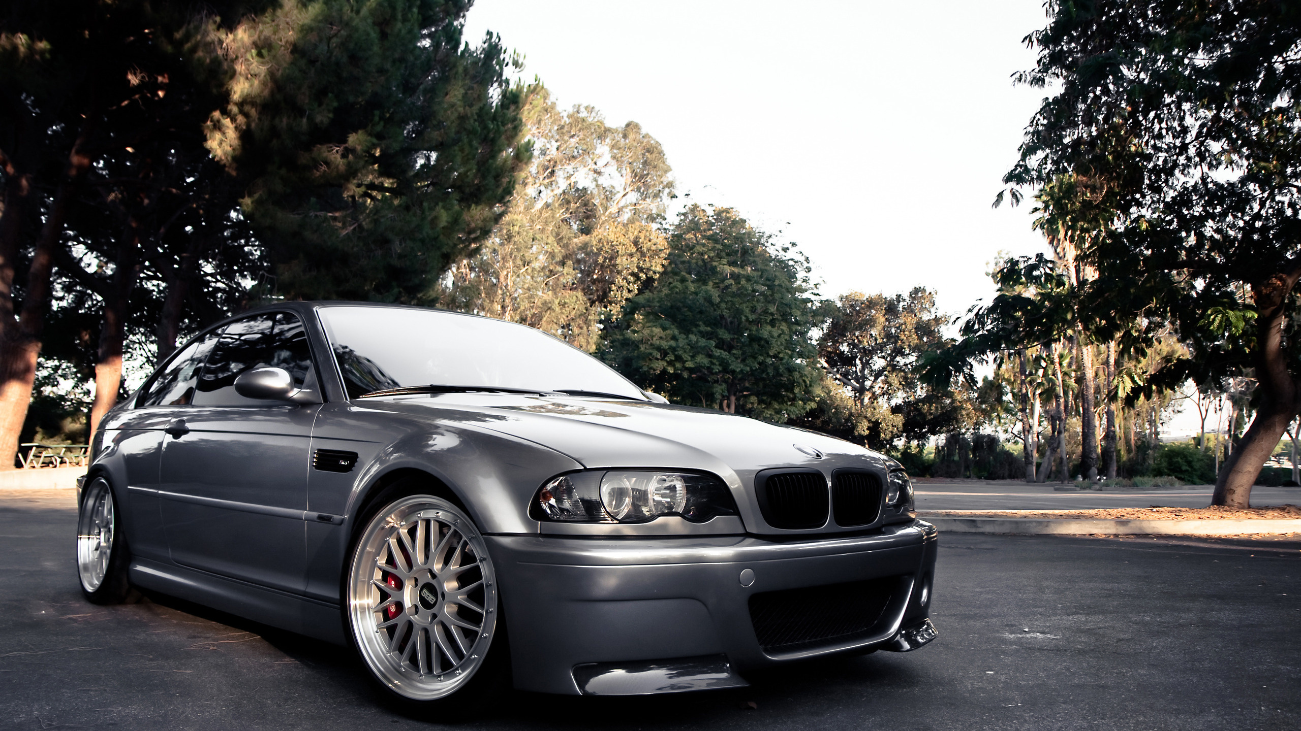 248662_bmw_-m3_-seryj_avtomobili_mashiny_avto_2560x1440_(www.GdeFon.ru).jpg