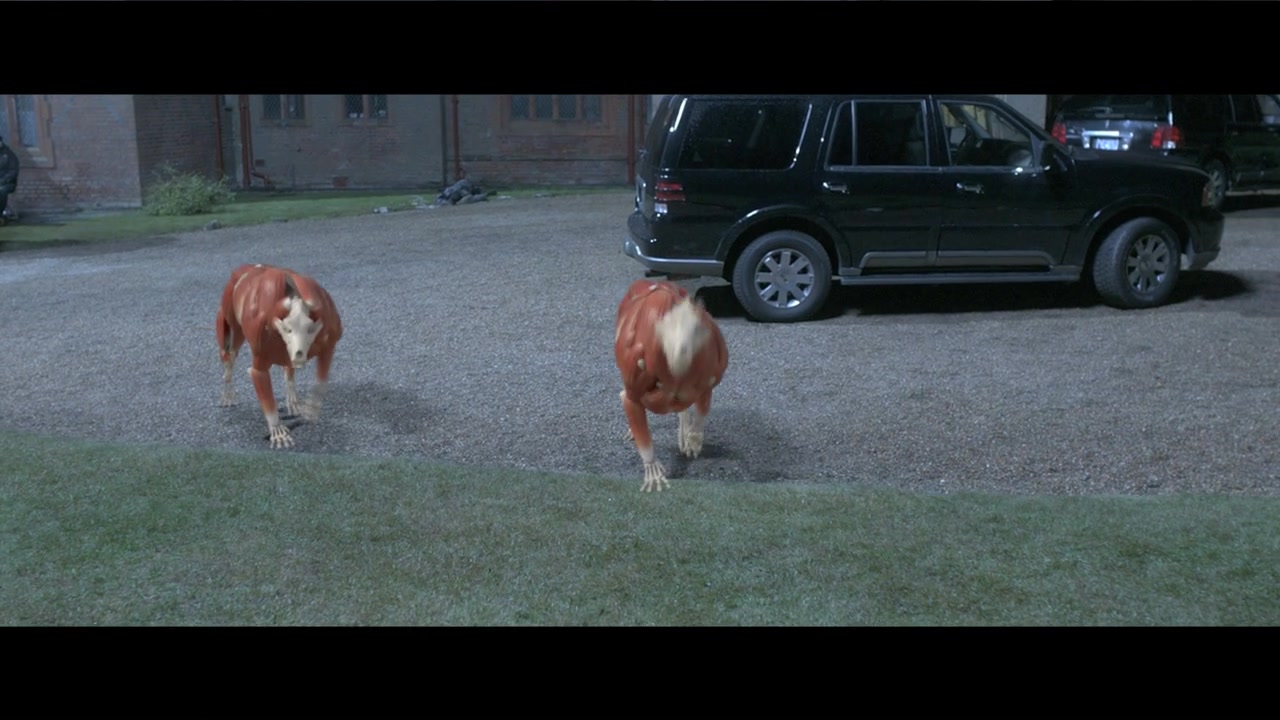 Vampire Academy Featurette 182.jpg