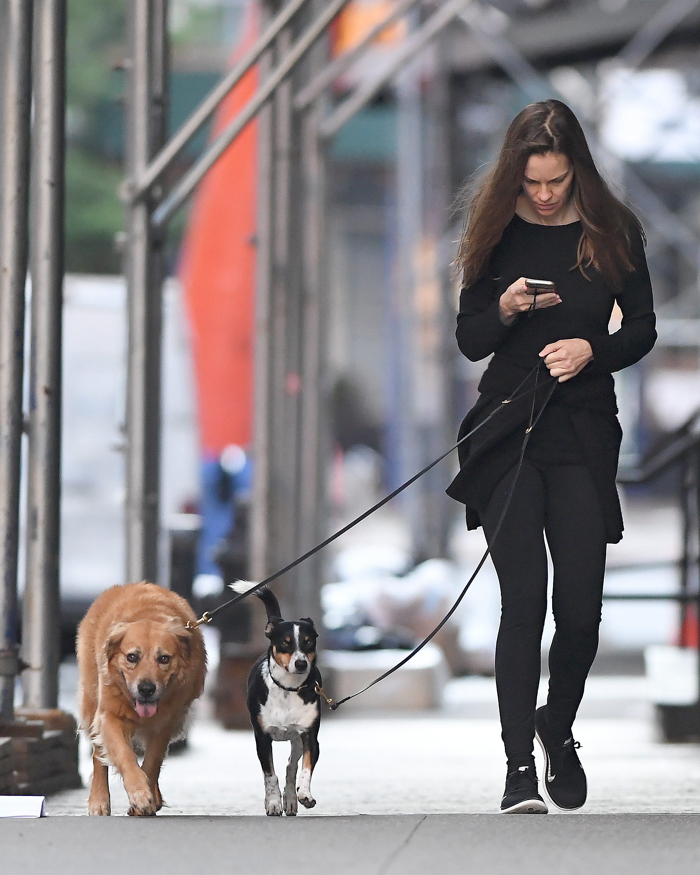 Hilary Swank  is seen out with her dog in New York City_06.jpg