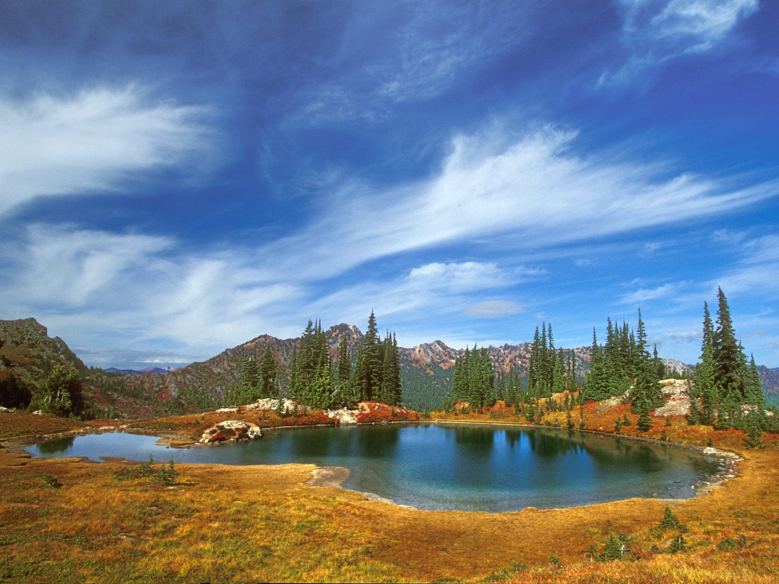 The Axis of Serenity, Mount Rainier National Park, Washington.jpg