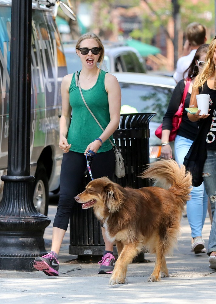 seyfried019.jpg
