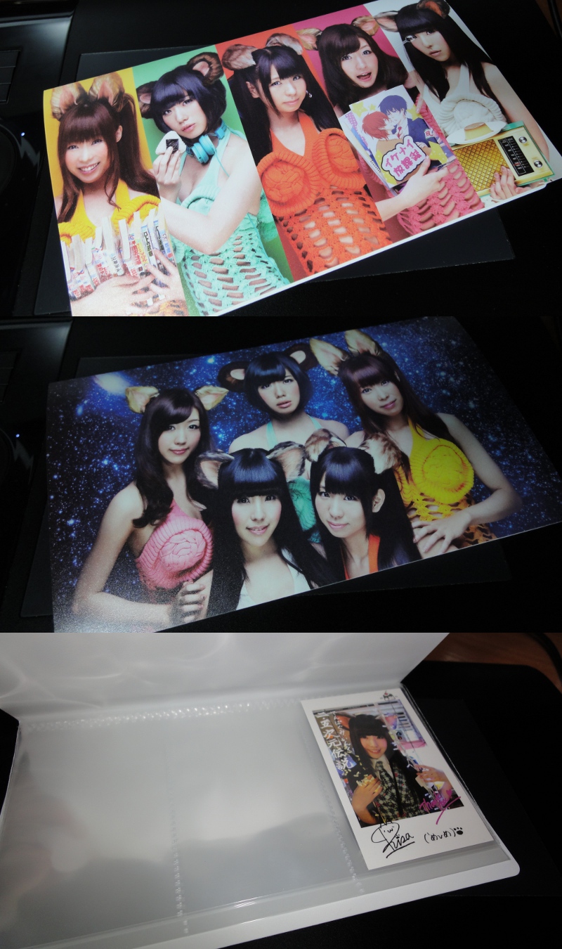 05cardholder.JPG